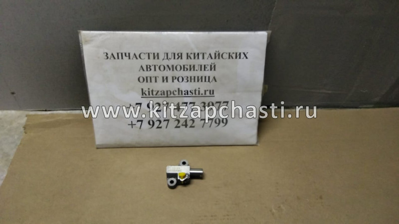 Болт натяжителя цепи ГРМ и корпуса термостата МОСКВИЧ 6 1010017GG010
